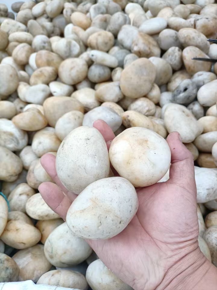 天然白色鹅卵石