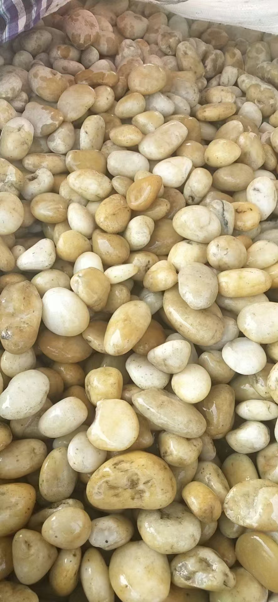 天然白色鹅卵石