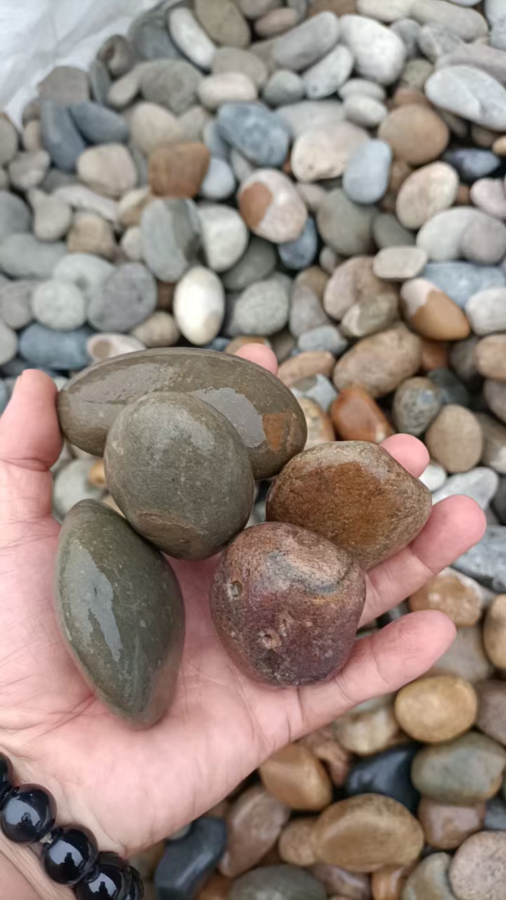 天然鹅卵石3-5公分