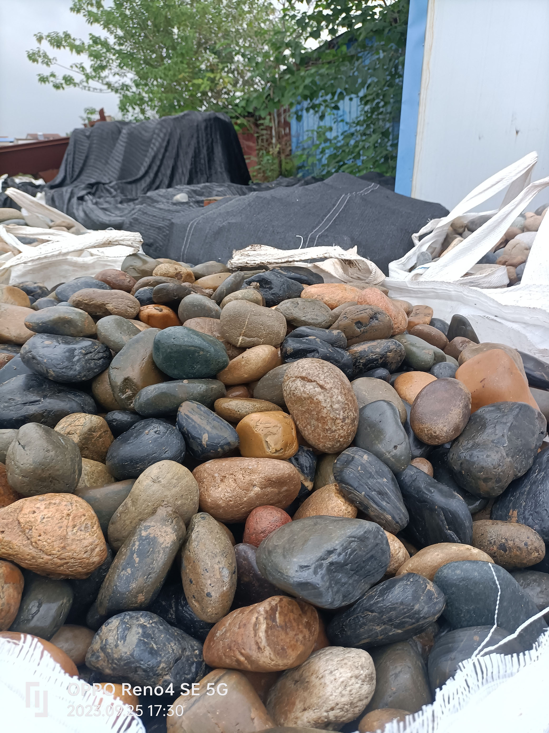 天然鹅卵石5-8公分