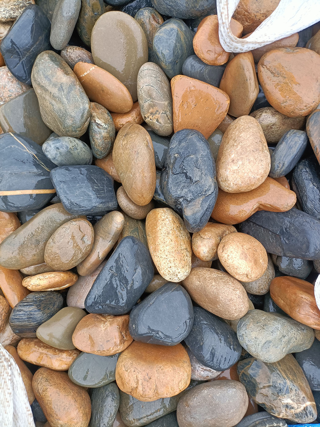 天然鹅卵石5-8公分