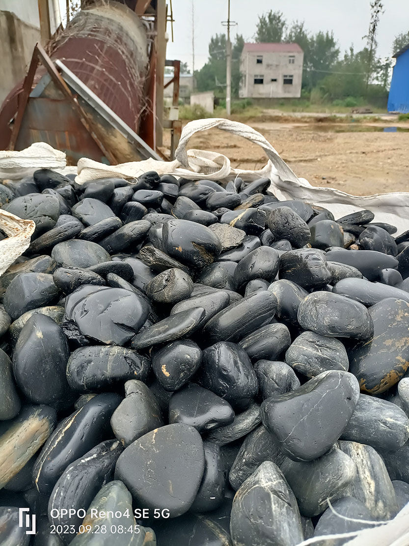 天然黑鹅卵石5-8公分