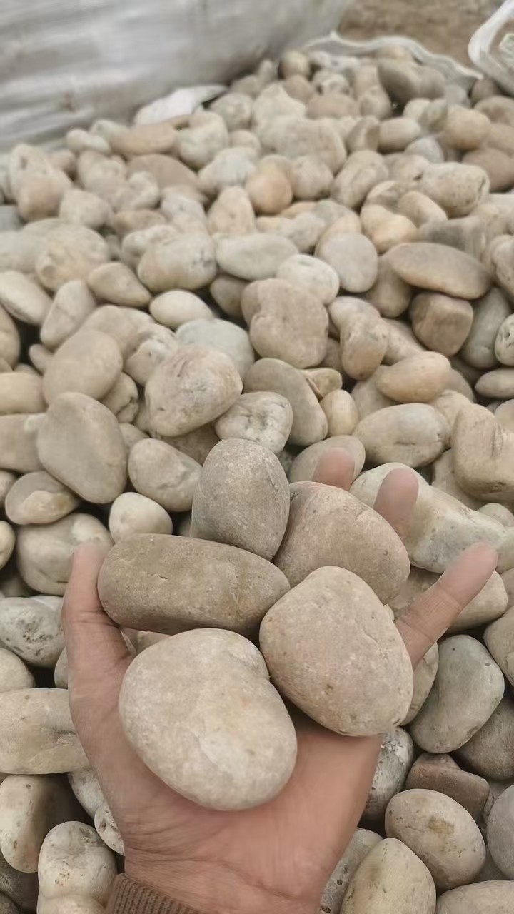 天然黄白鹅卵石