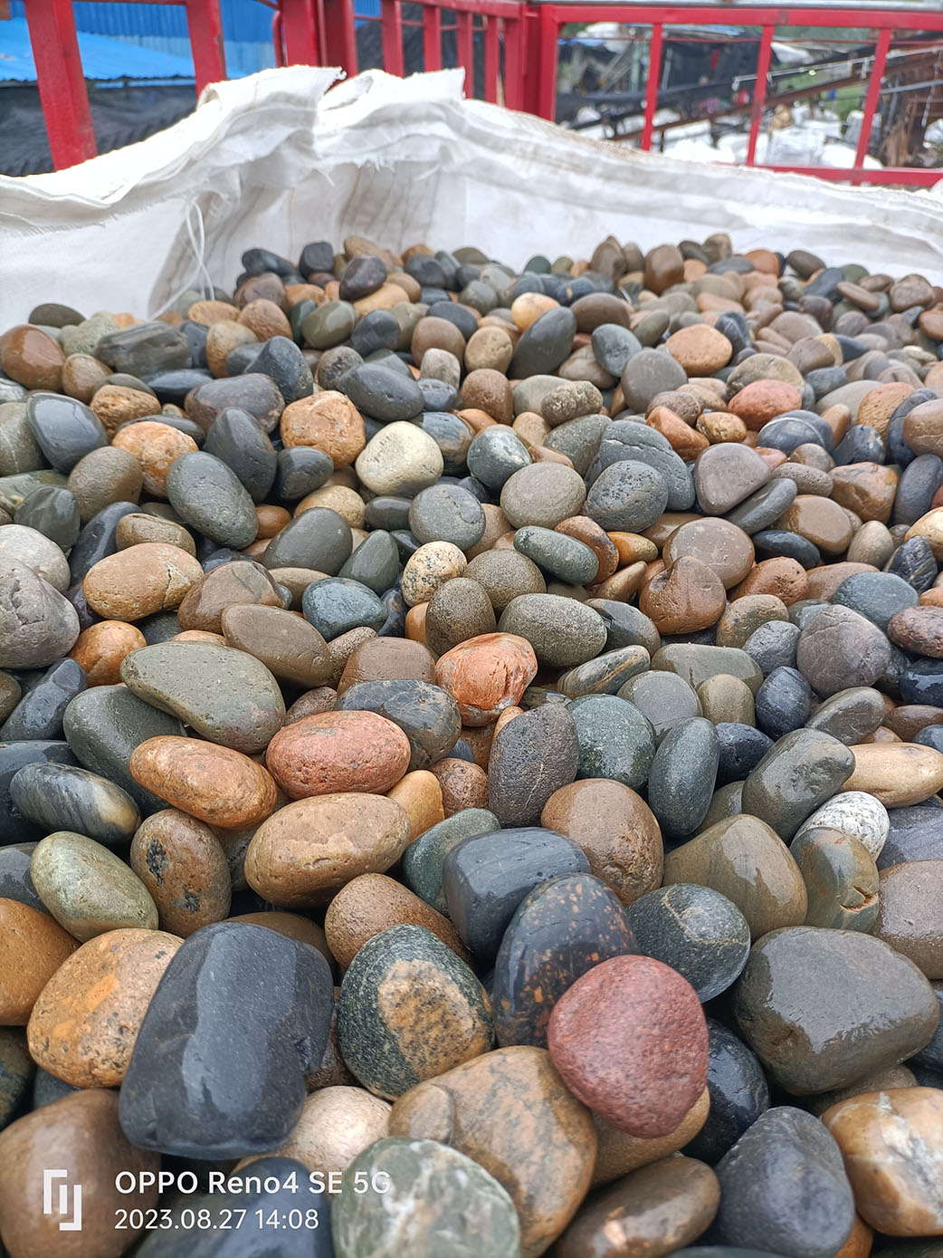 天然五彩鹅卵石2-3公分