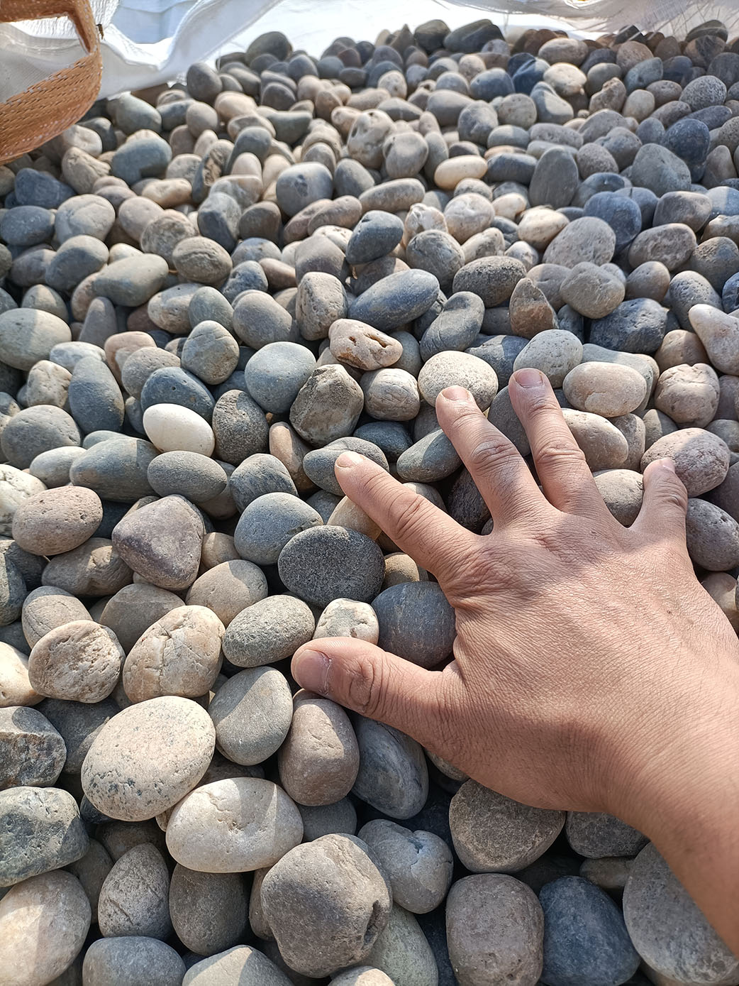 天然五彩鹅卵石2-3公分