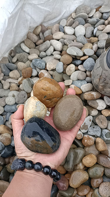 天然五彩鹅卵石2-3公分