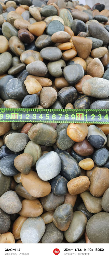 天然五彩鹅卵石2-3公分