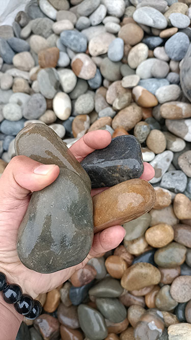 天然五彩鹅卵石2-3公分