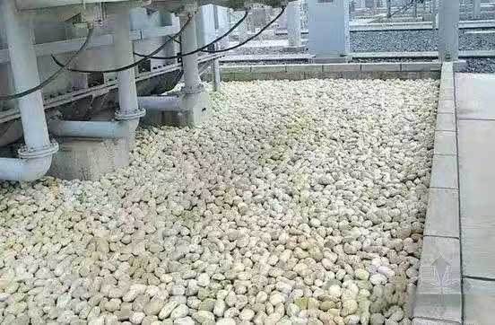 变电站油滤池鹅卵石